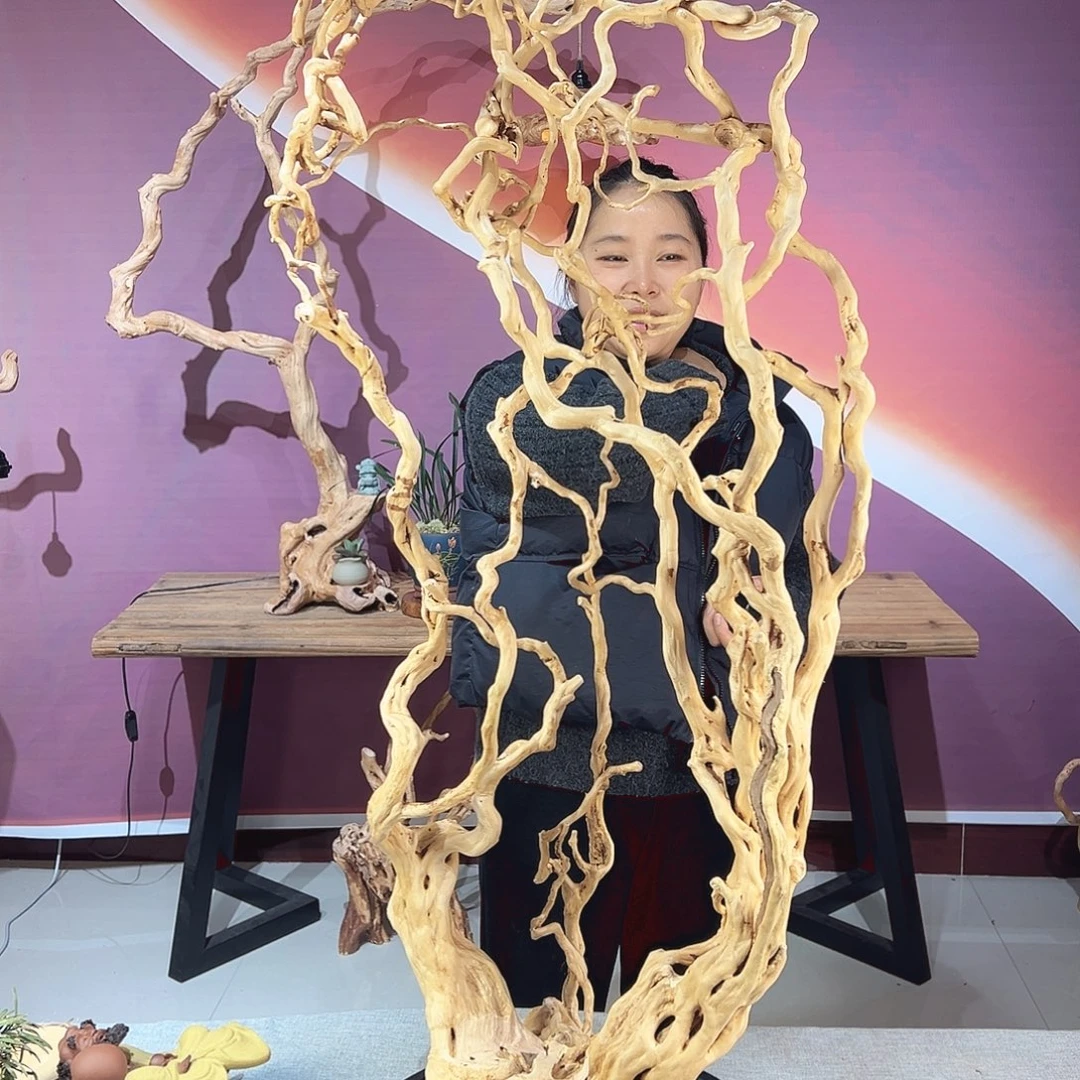 发***馆木天然杜鹃根根艺摆件