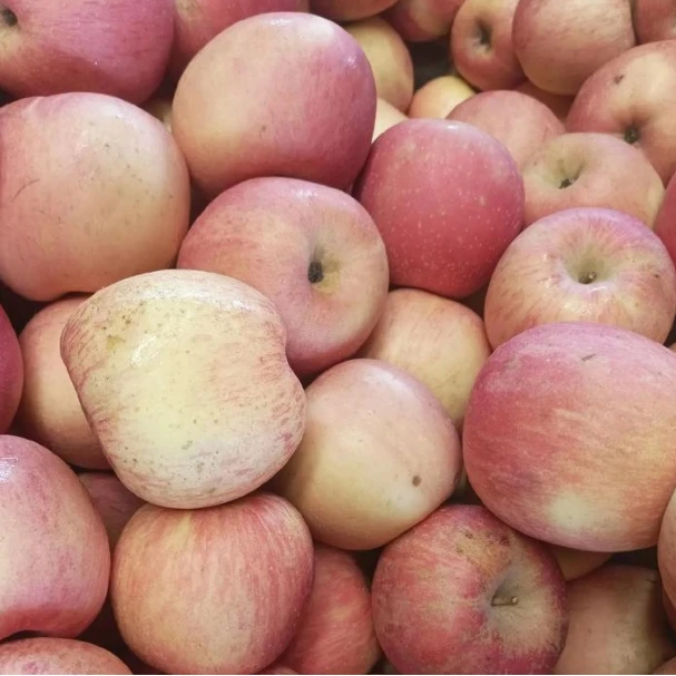 陕西高山红富士苹果脆甜多汁皮薄肉厚新鲜水果