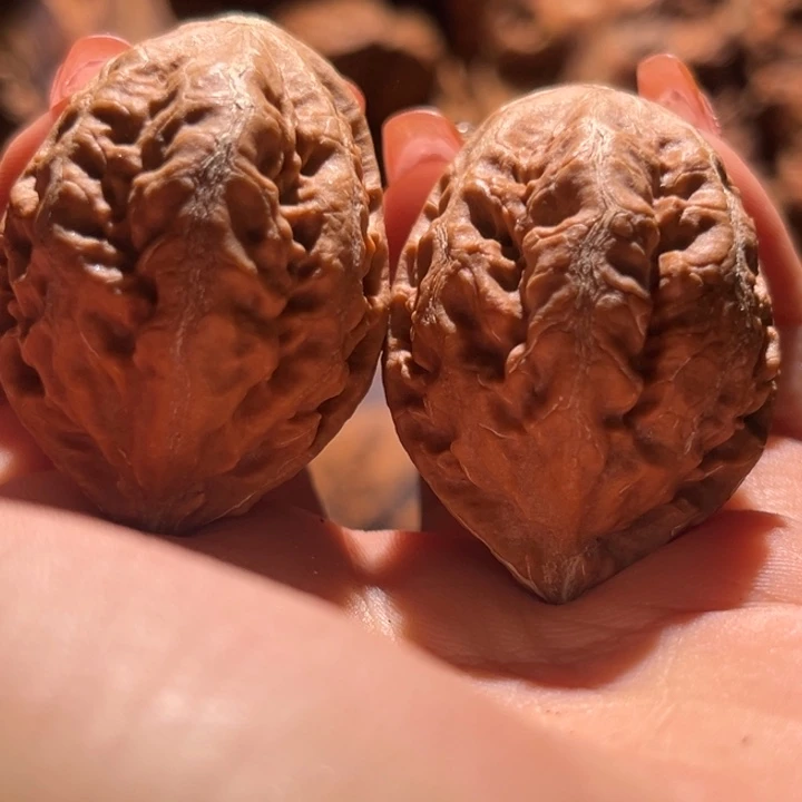 吊坠桃核九哥楸核18