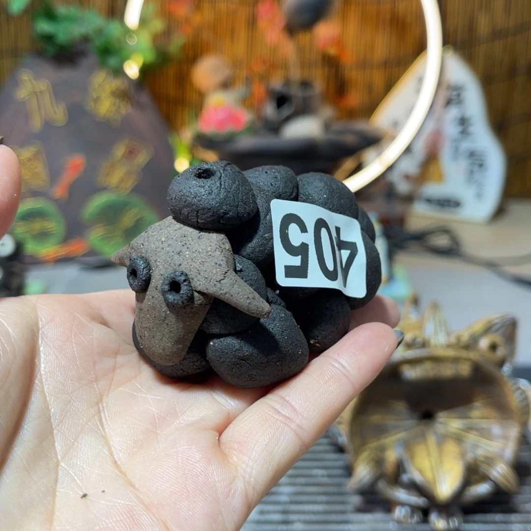 木村信弘柴烧保平