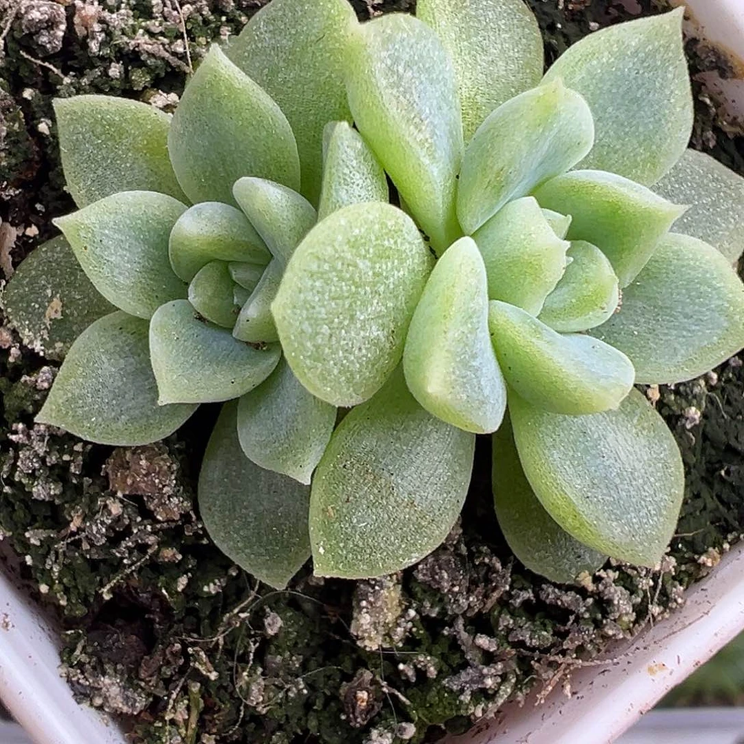 财富密码35。