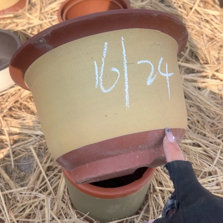 红陶紫砂碗盆口24