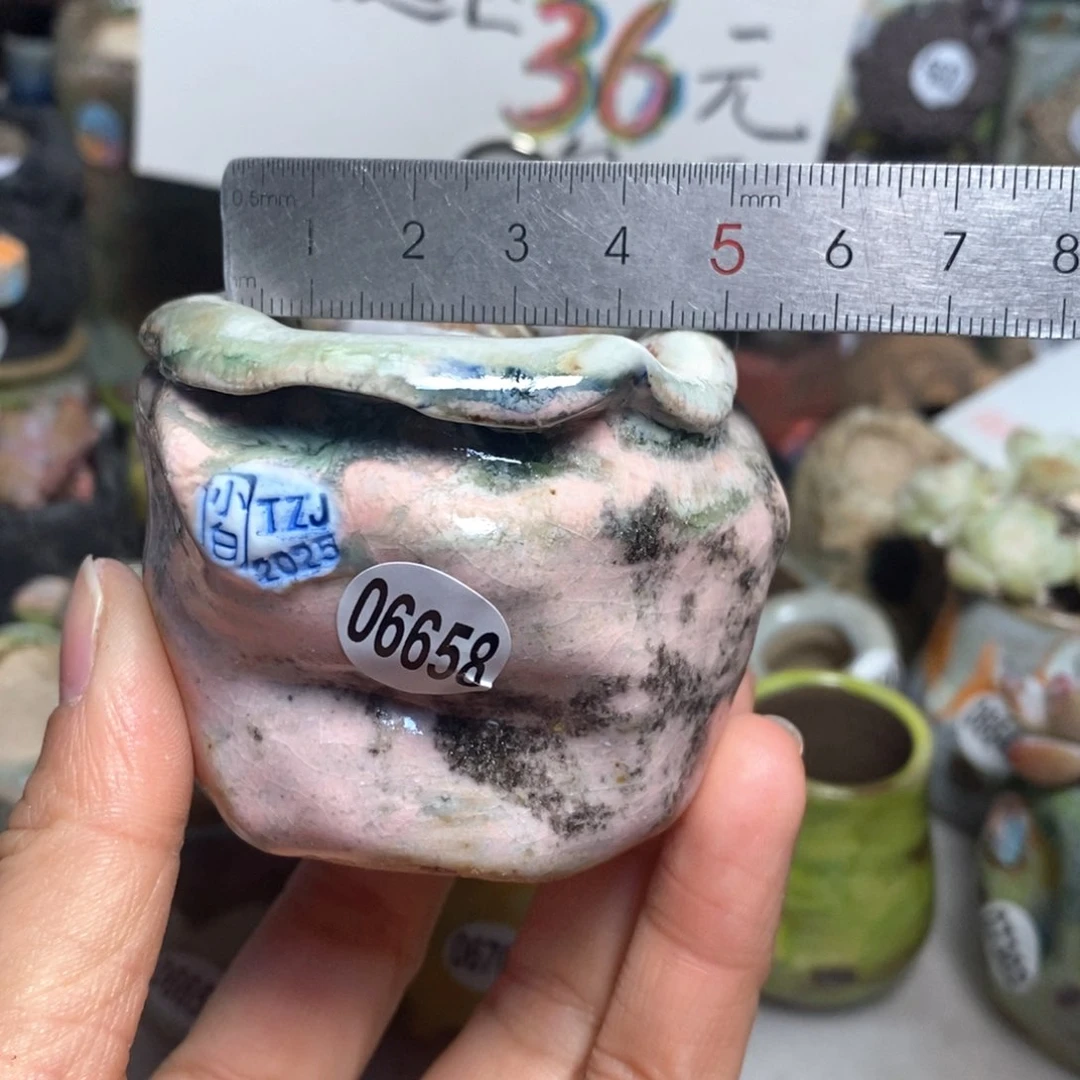 花盆拍3送一个小礼物