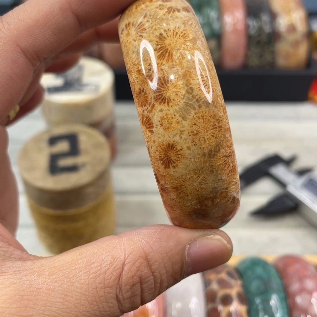 未镶嵌手镯硅化玉