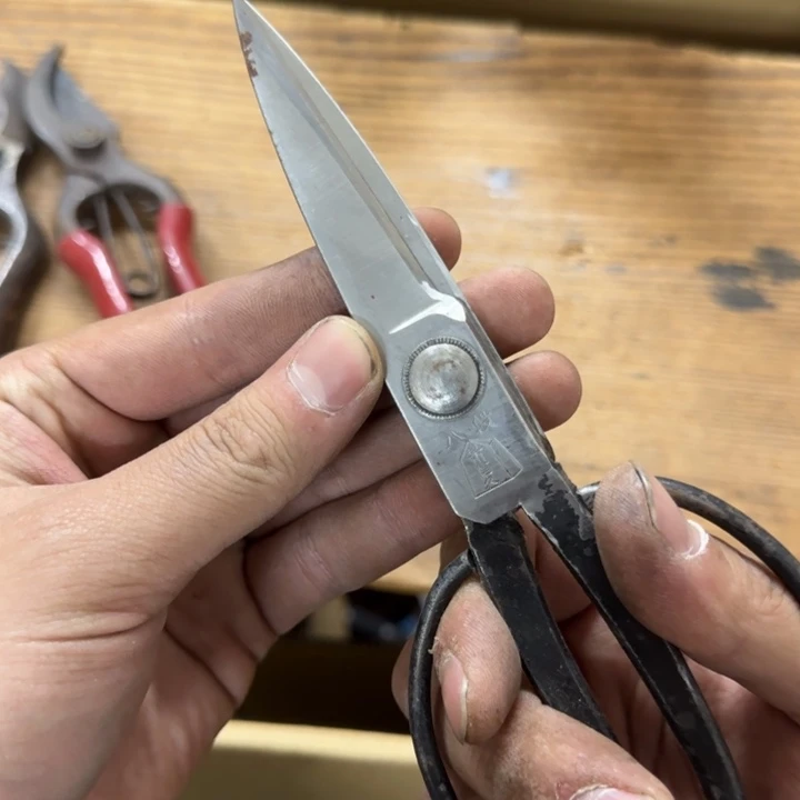 李****8哈哈哈哈哈哈哈哈哈哈