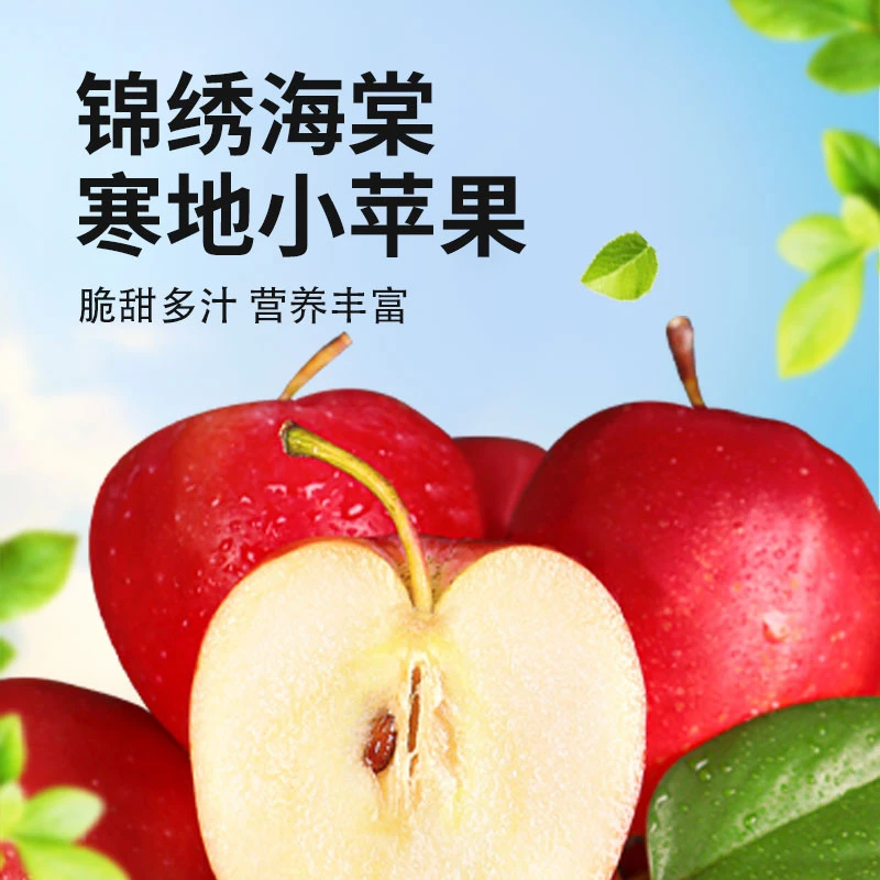 【国哥优选】东北辽宁特产鸡心果脆甜酸甜饱满多汁采摘新鲜自然成熟