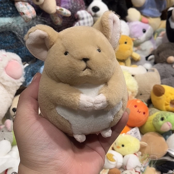 毛绒玩偶颗粒哈哈哈哈