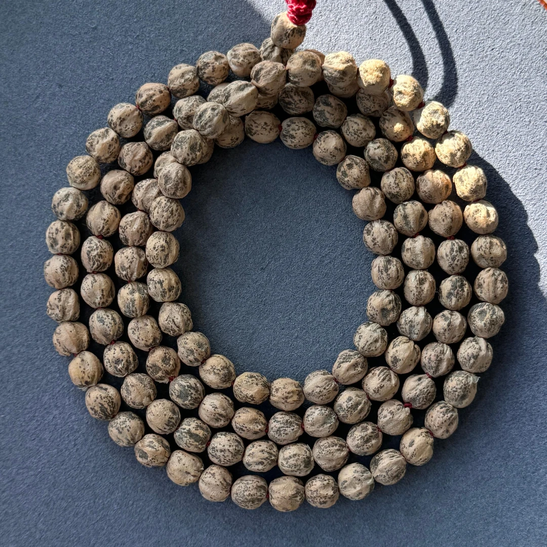 柏香籽原桩油皮顺纹脏鬼纯原桩豆子柏香籽菩提