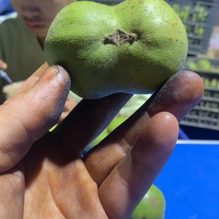 吊坠文玩核桃菏**迪