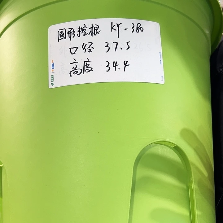 正品圆控口37.5高34果绿无托3只