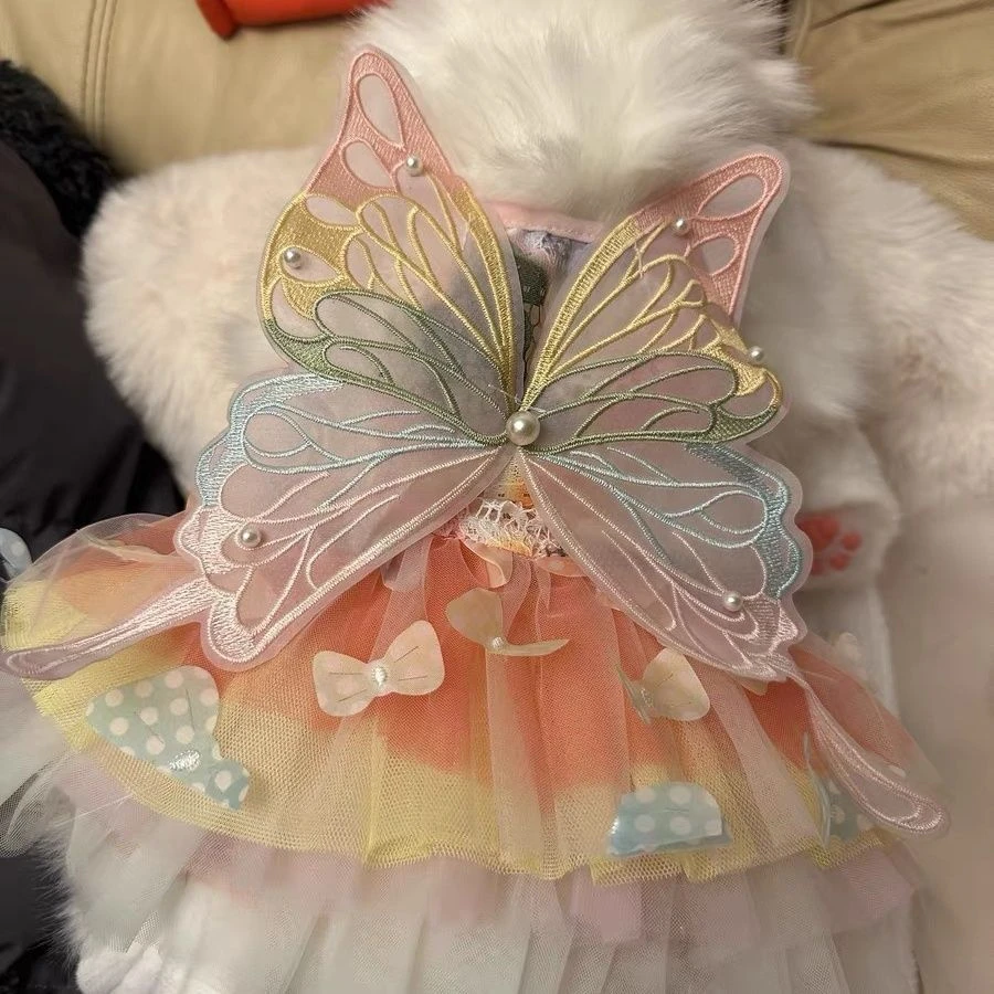 彩虹仙子衣服幻彩蝴蝶翅膀春夏猫咪比熊泰迪贵宾金毛柯基仙气