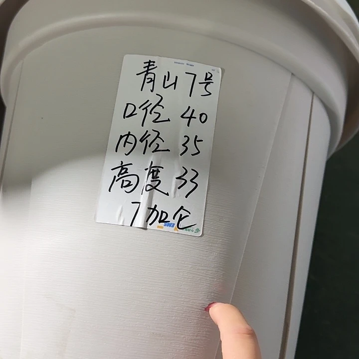 老青山7号灰白无托5个