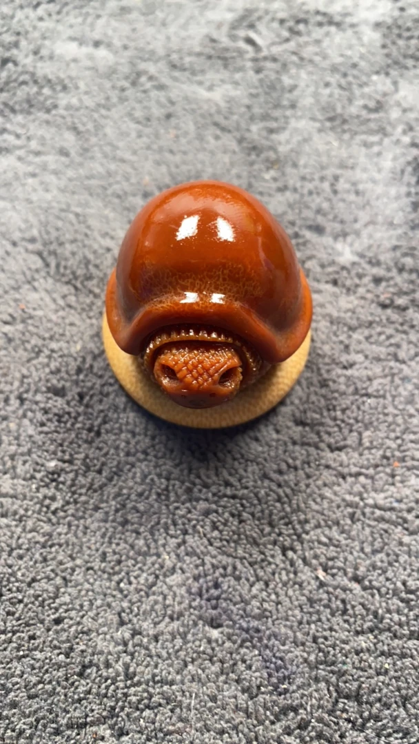 橄榄核雕玉化帝王龟大精品单颗福利