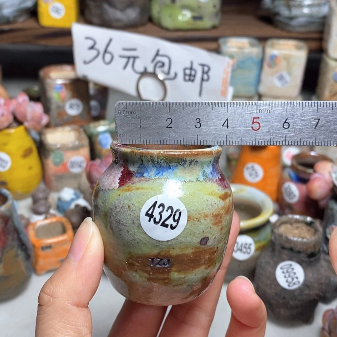 拍5送一个小礼物