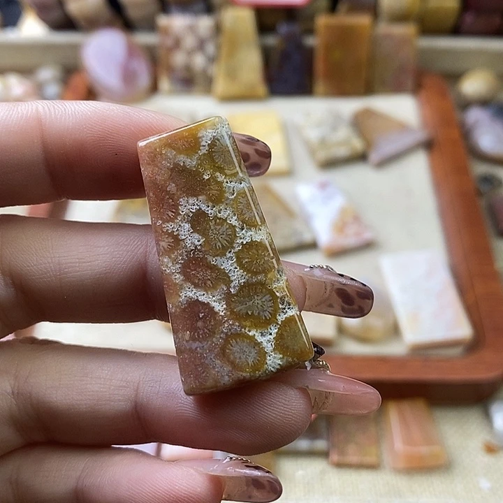 硅化珊瑚（珊瑚玉）未镶嵌颈饰
