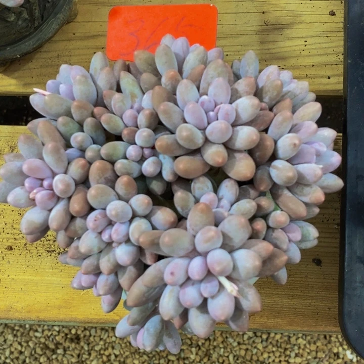 这么久没有这么晚回家睡觉