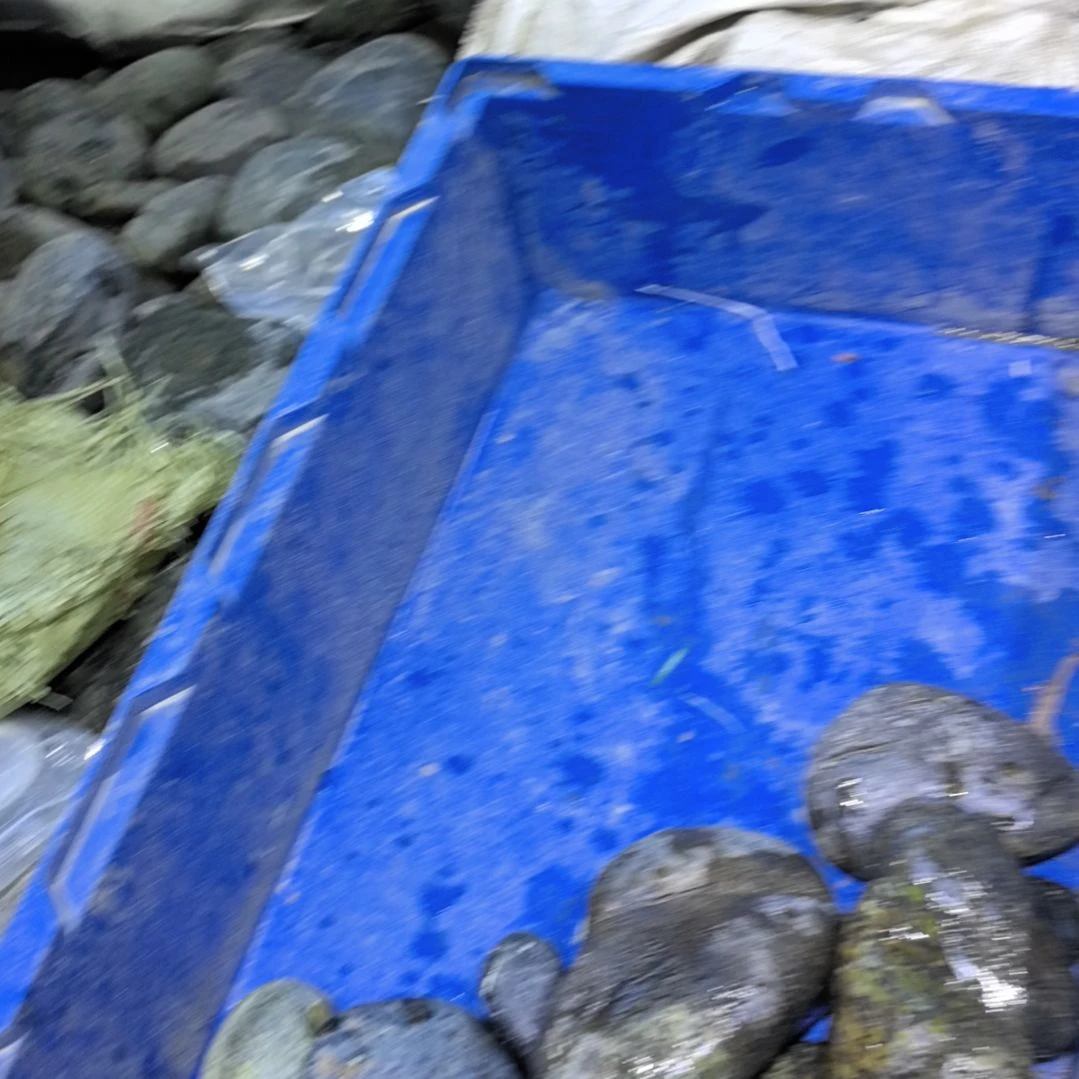 用***7藏玉药王石原石一个摆件