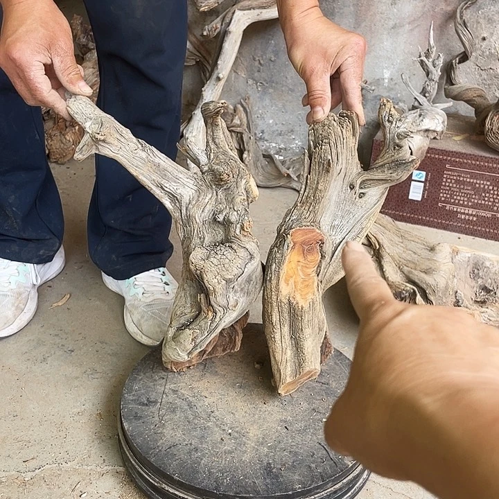 柏木风**叶崖柏崖柏崖柏