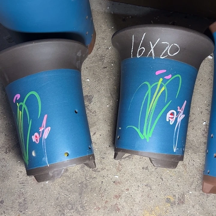 啧啧啧啧啧啧  再说再说