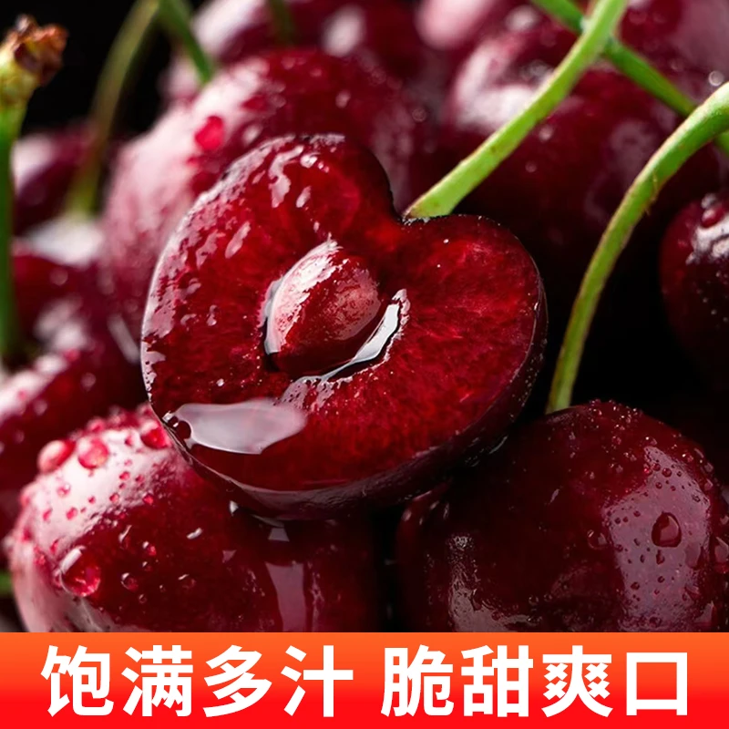 楠姐智利车厘子海运桑提娜顺丰包邮内附果径卡5斤装3J