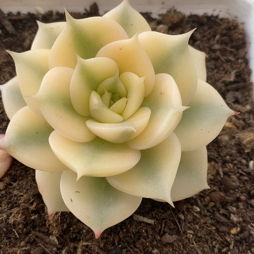 298贝加尔湖哈哈哈哈