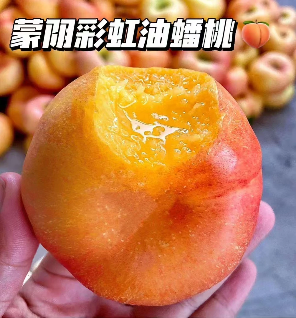 山东蒙阴炸口果彩虹蟠桃桃现摘现发新鲜应季水果维c维生素c水果