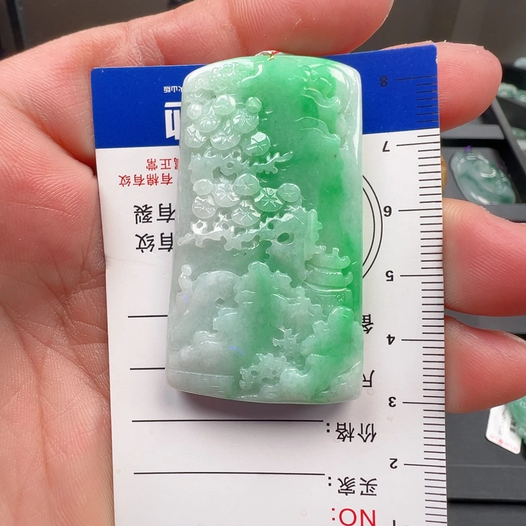 翡翠未镶嵌颈饰阳绿山水