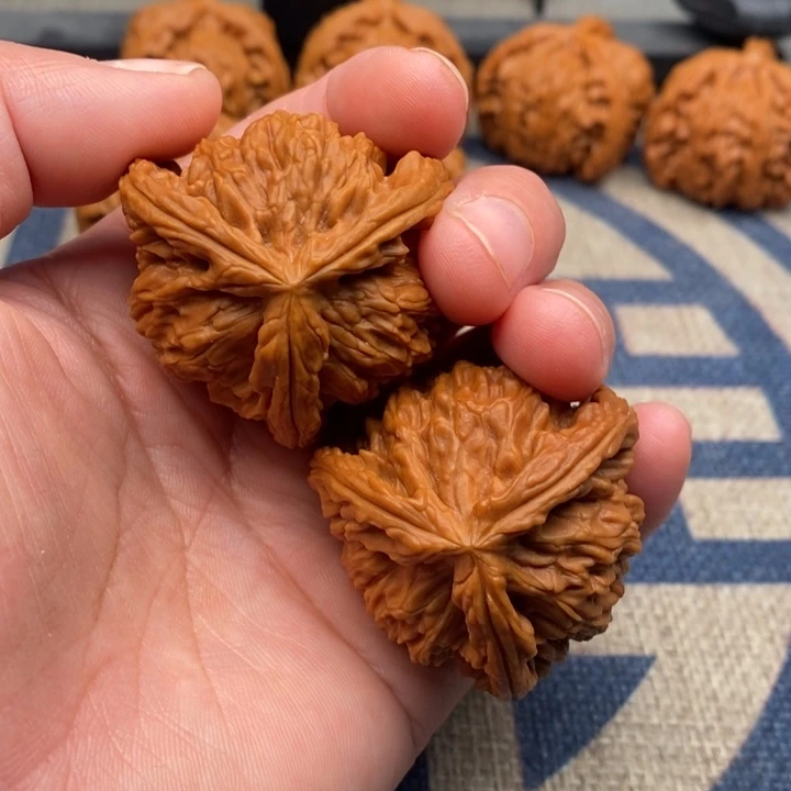 吊坠文玩核桃夜**苦三棱