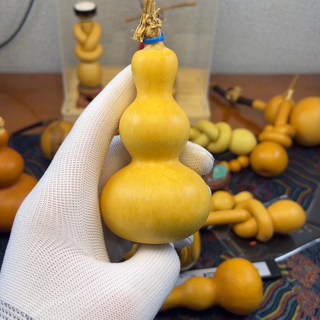 用***5哈哈哈哈哈哈哈哈哈哈哈