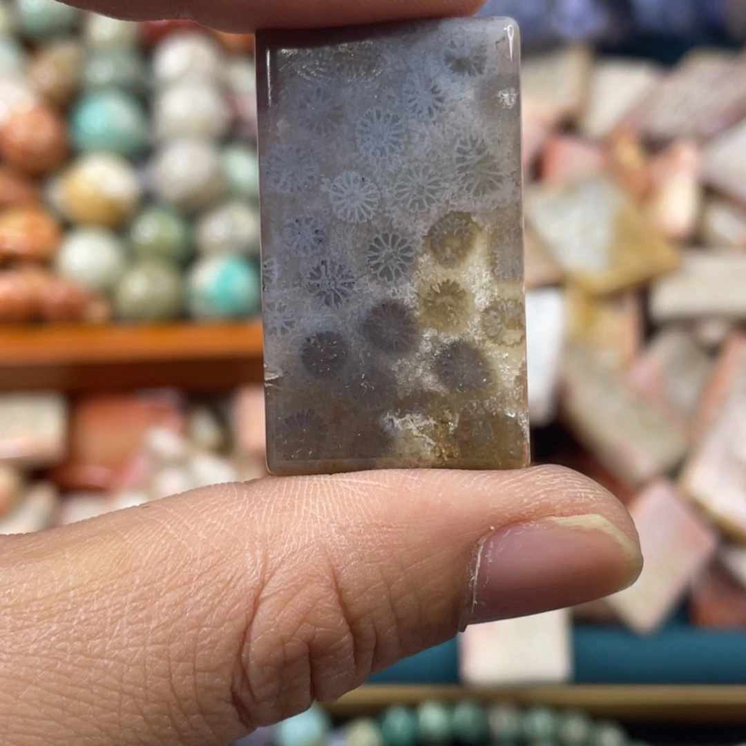 未镶嵌手镯硅化玉