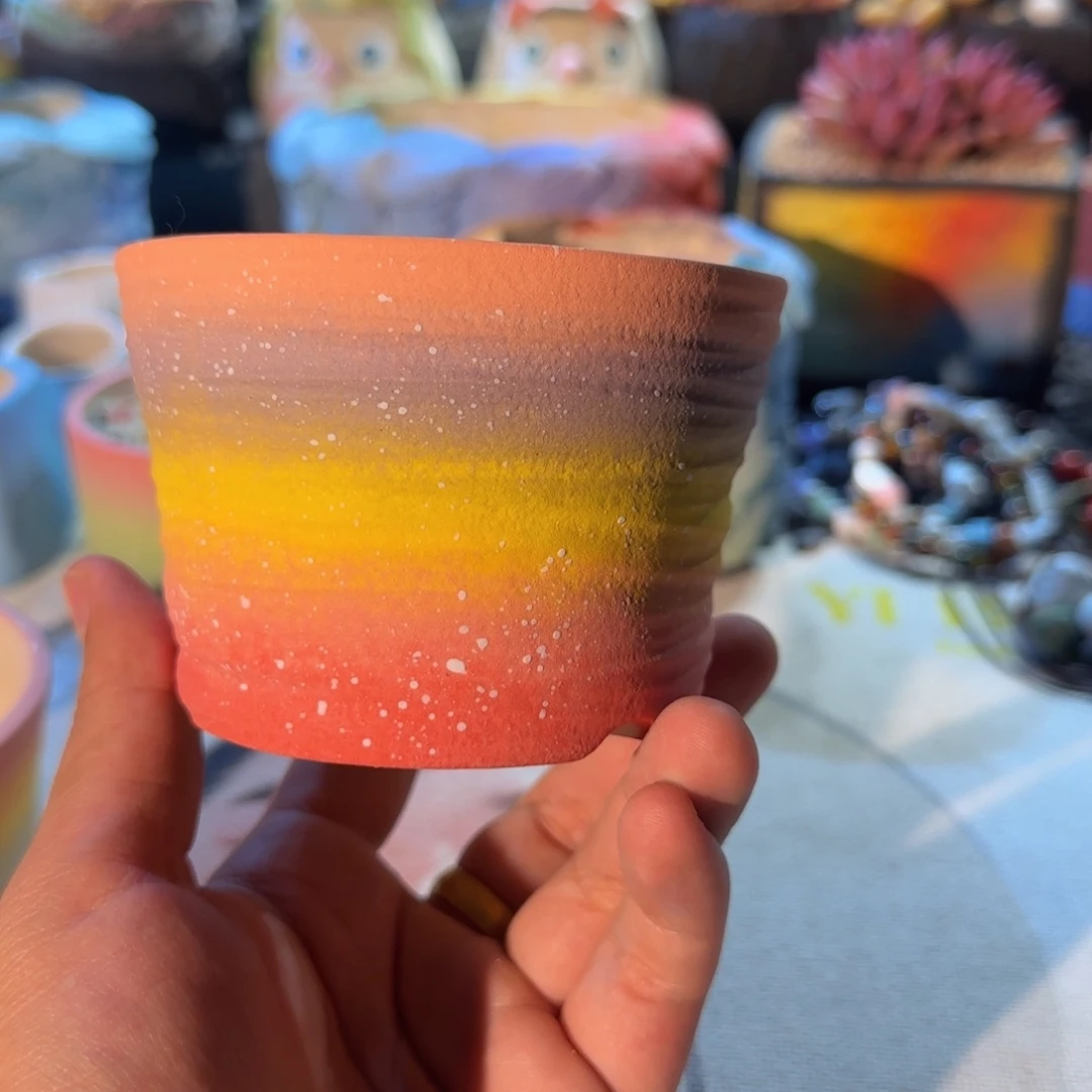 W***w去去去去去去去去去去去去去