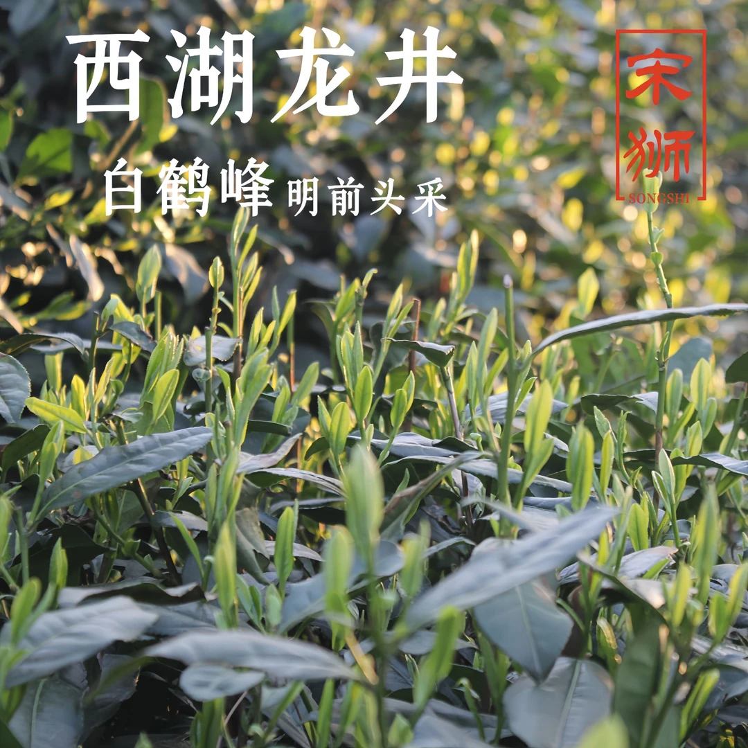 2025明前一级西湖龙井茶白鹤峰小山头全手工茶