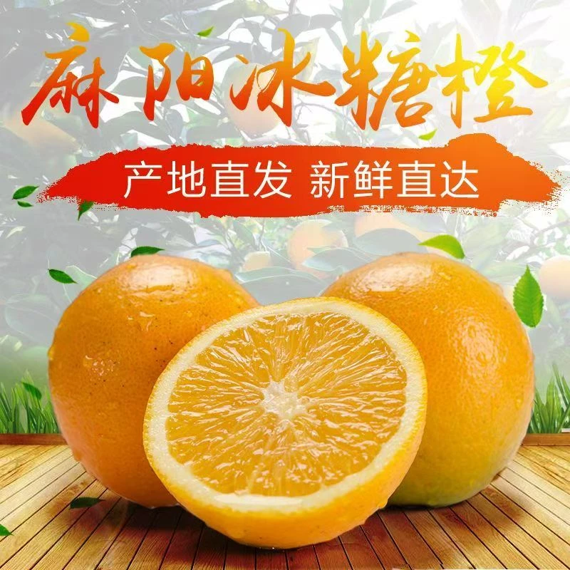 正宗麻阳冰糖脐橙现摘现发坏果包赔孕妇可食香甜多汁X
