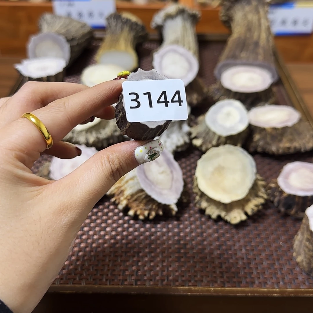 手串/手链鹿骨中段3144