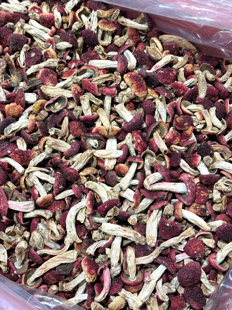 202591当季红菇营养煲汤菌菇