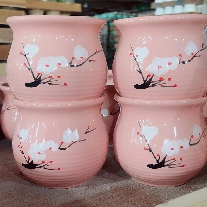 多肉植物陶瓷花盆