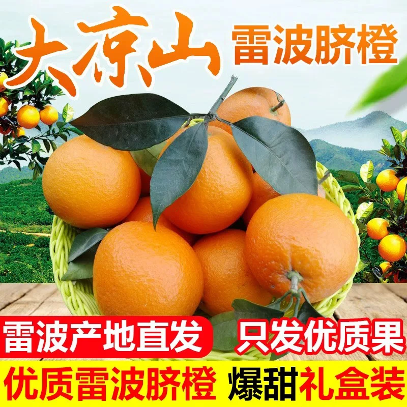 【买3斤送1.5斤】新鲜现摘雷波脐橙皮薄多汁现摘现发水果正宗凉山