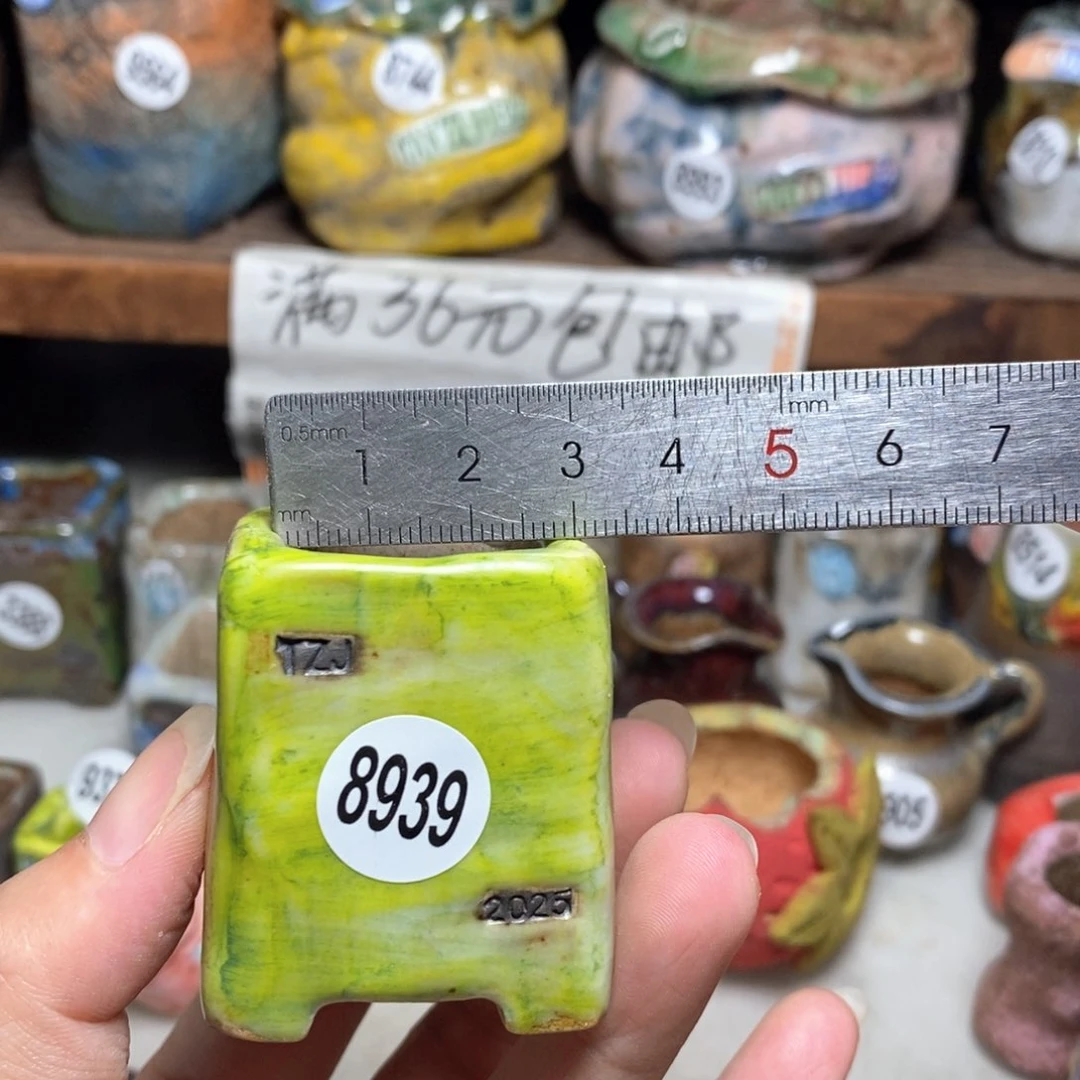 拍3送一个小礼物