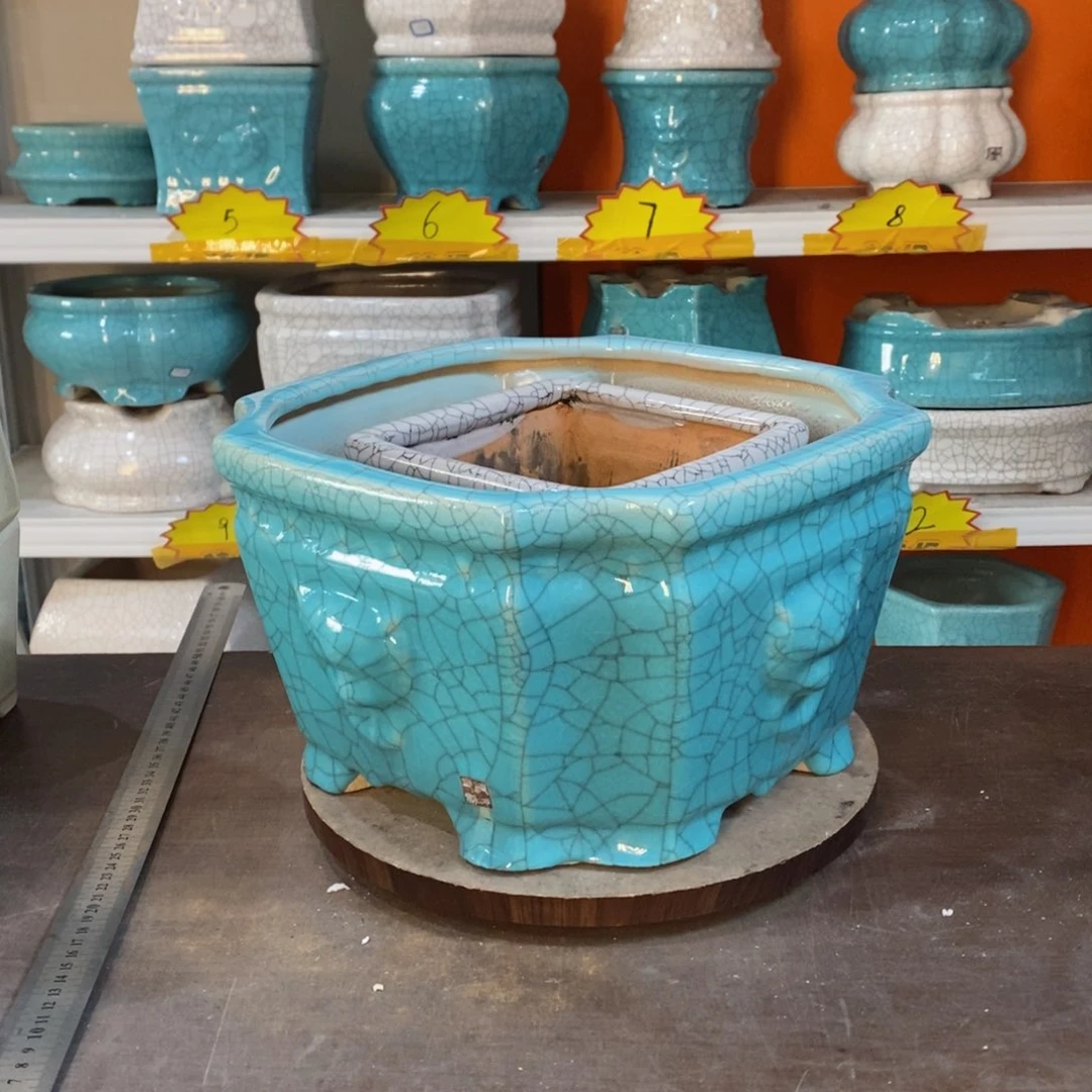 永**业花盆的颜色是蓝色