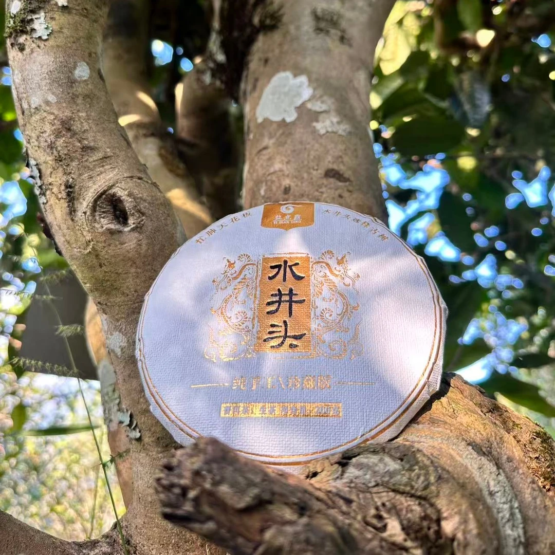 【水井头】2025年忙肺水井头古树挑采秋茶   200克单饼