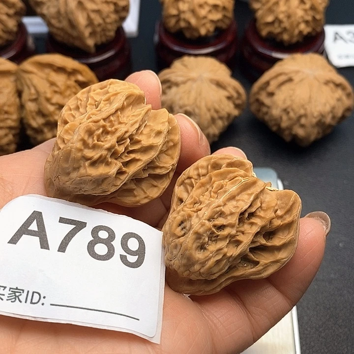 核桃盘山小鸟000000，有修