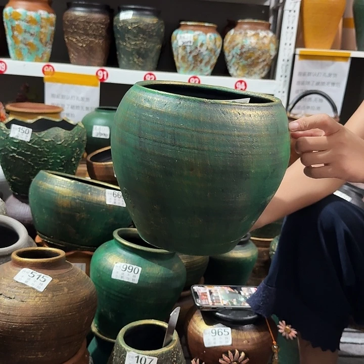 金绿88号高度22口径19