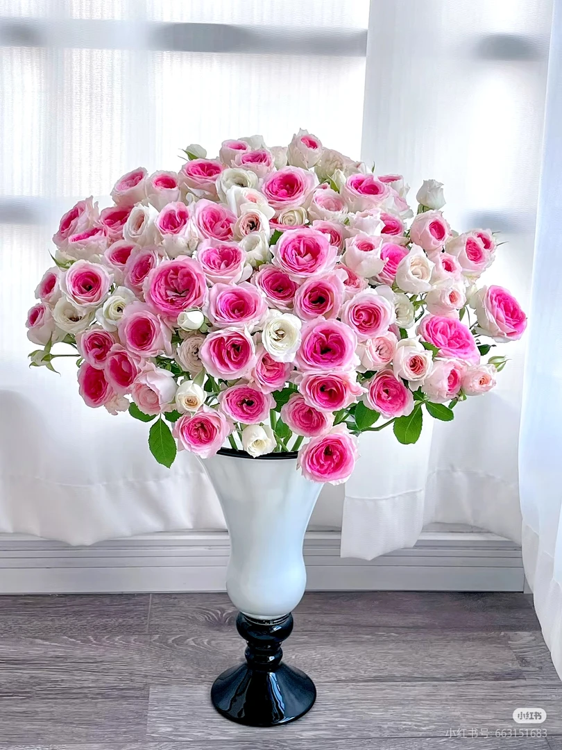 午夜魔法10支 两单包邮一单或低温不拍保温冻坏不售后