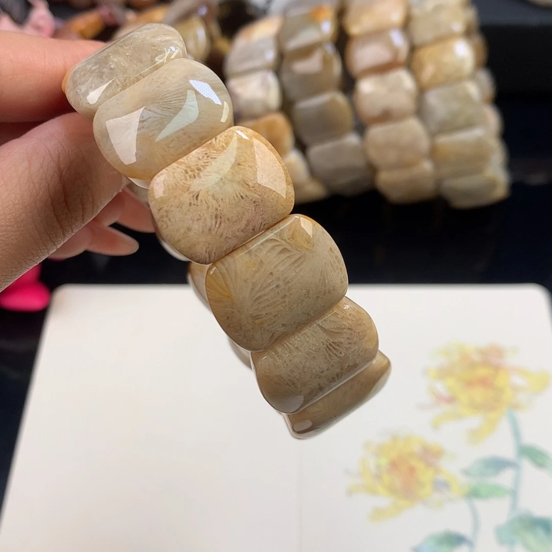 【闪购商品】硅化珊瑚（珊瑚玉）未镶嵌颈饰?***?