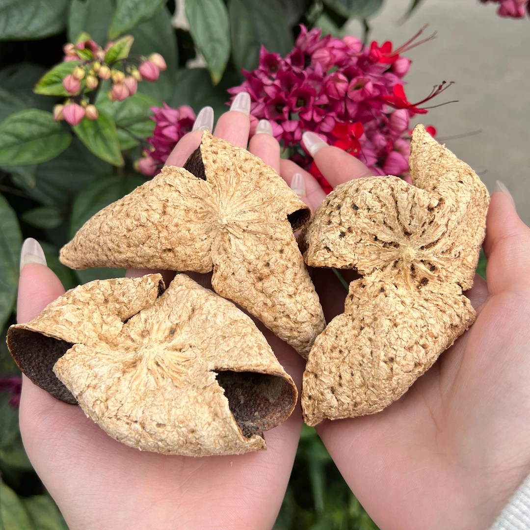 【义顺堂】2020梅江圈枝大红皮正宗新会陈皮糯香柑香清甜天然生晒