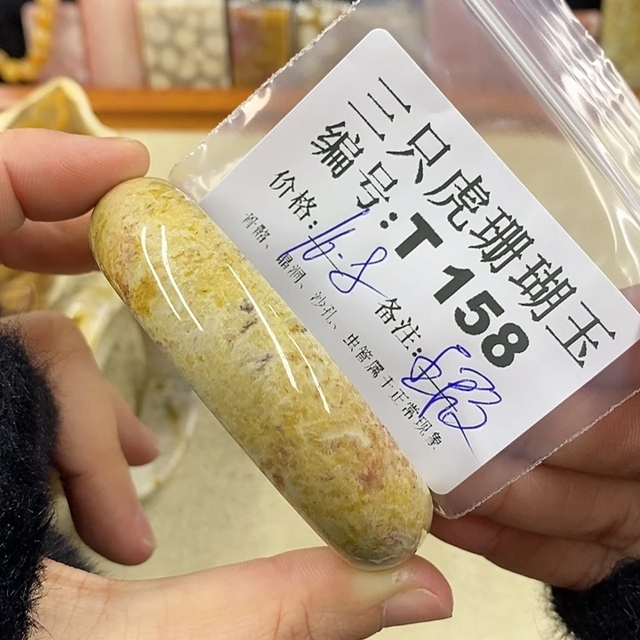 硅化珊瑚（珊瑚玉）1未镶嵌三**长