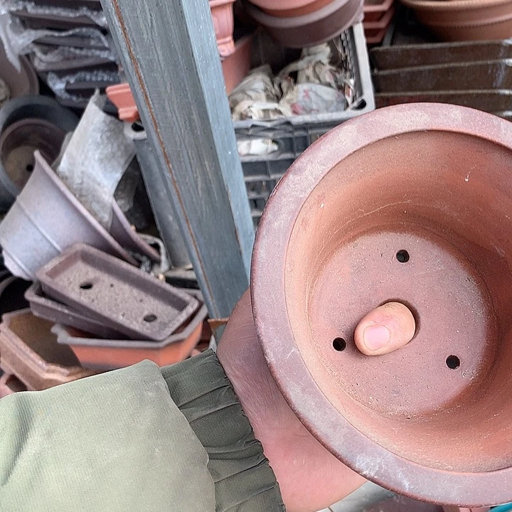 紫砂没有那么重要的人怎么可能