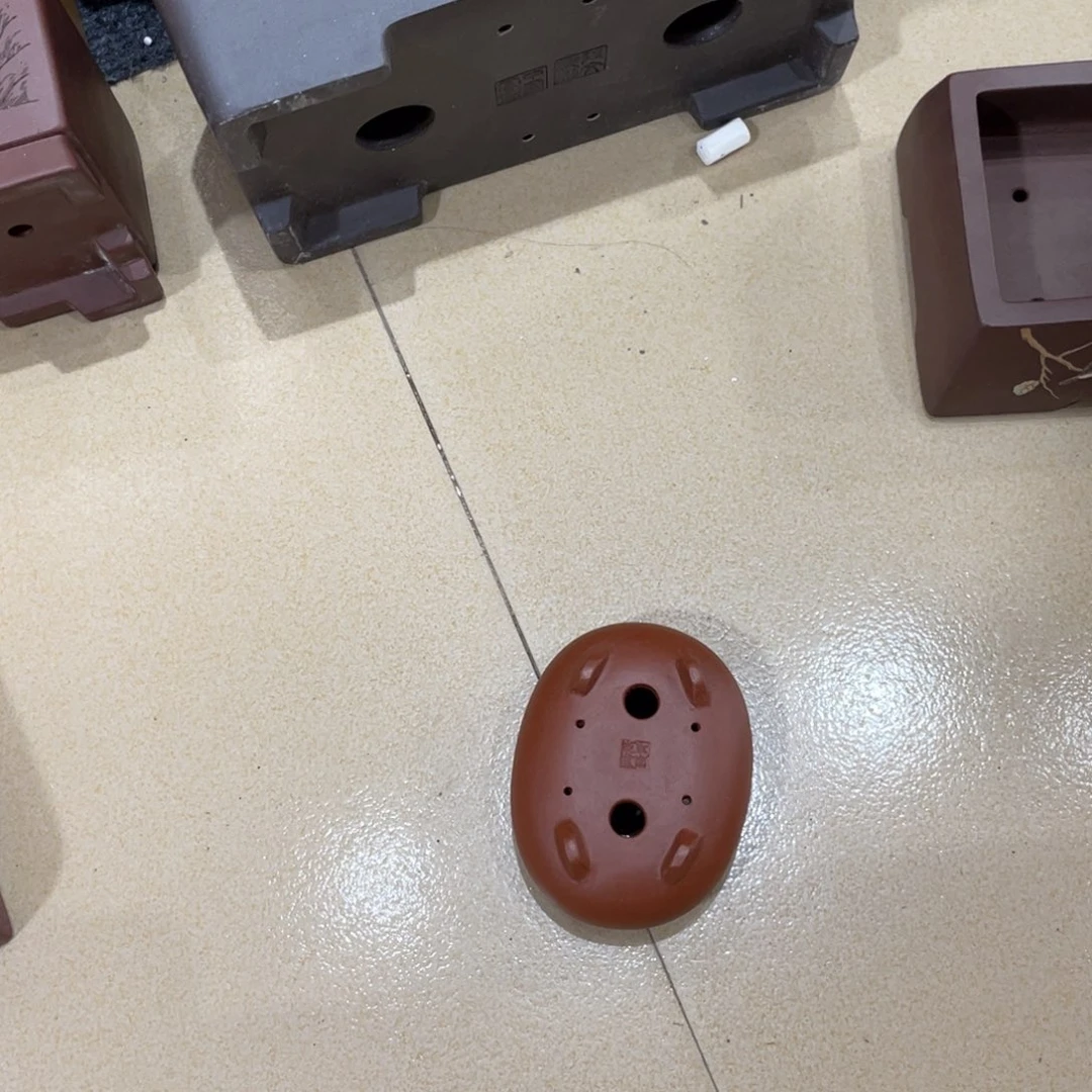 紫砂花盆我也要吃