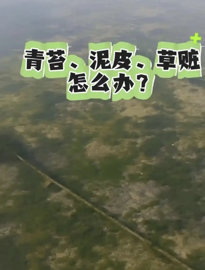 【5袋起拍】螃蟹龙虾塘降解泥皮抑制生长效果显著