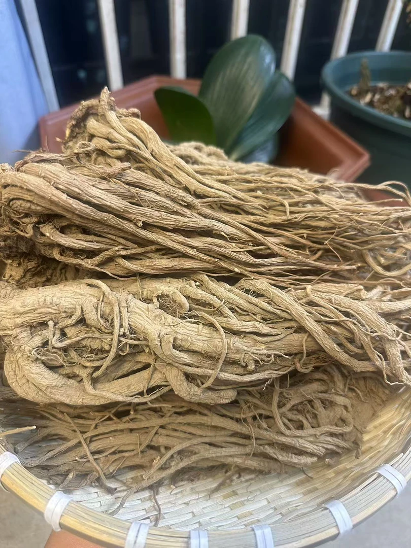 高山高海拔 全枝当归